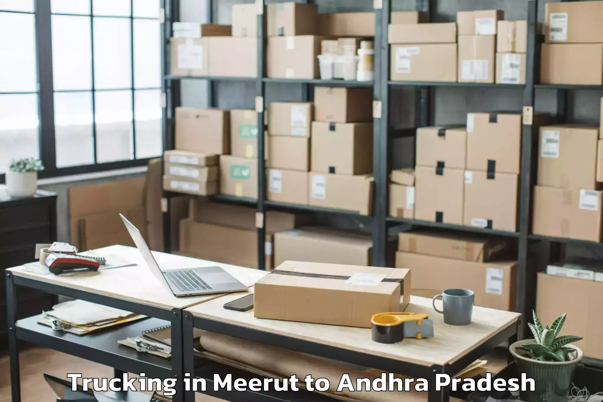 Book Meerut to Tsunduru Trucking Online